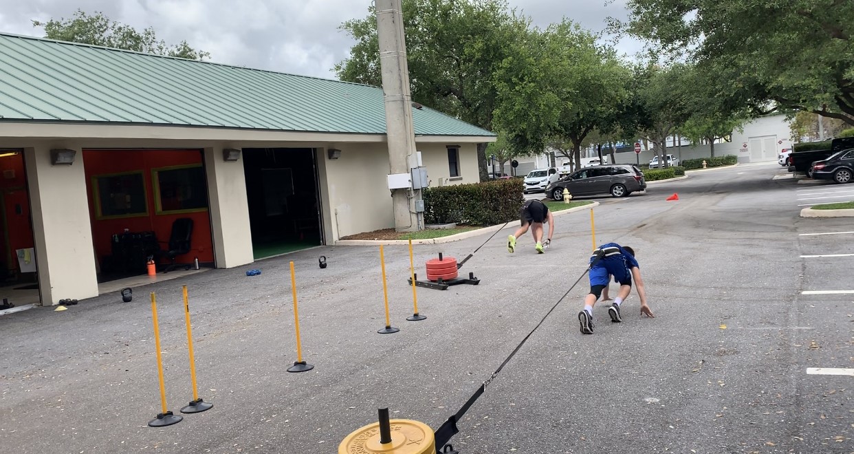 sled sled